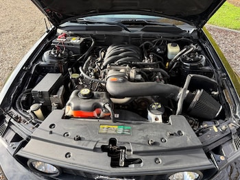 Used Ford Mustang 2007 for sale - 77482506: Photo