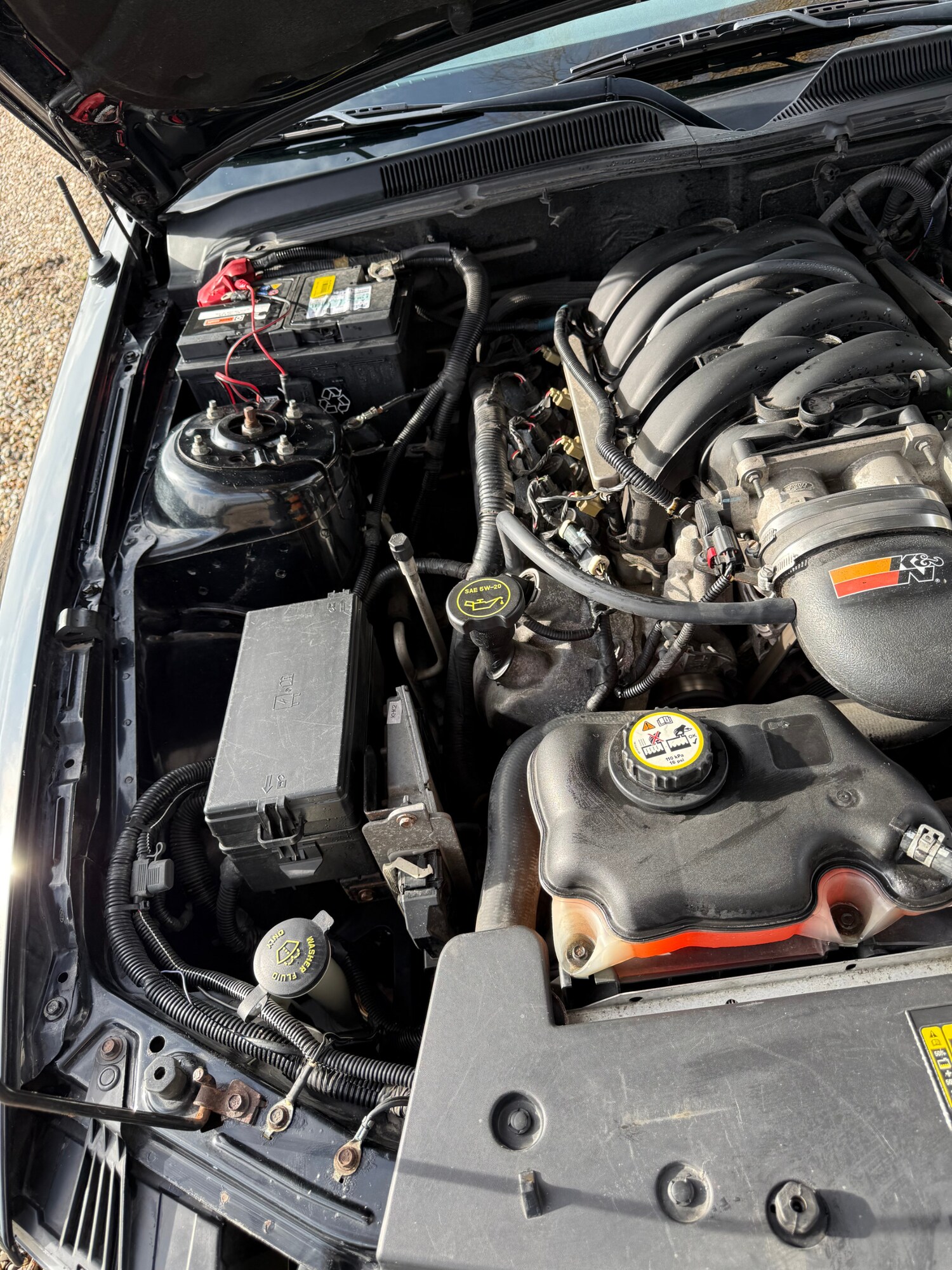 Used Ford Mustang 2007 for sale - 77482506: Photo 40