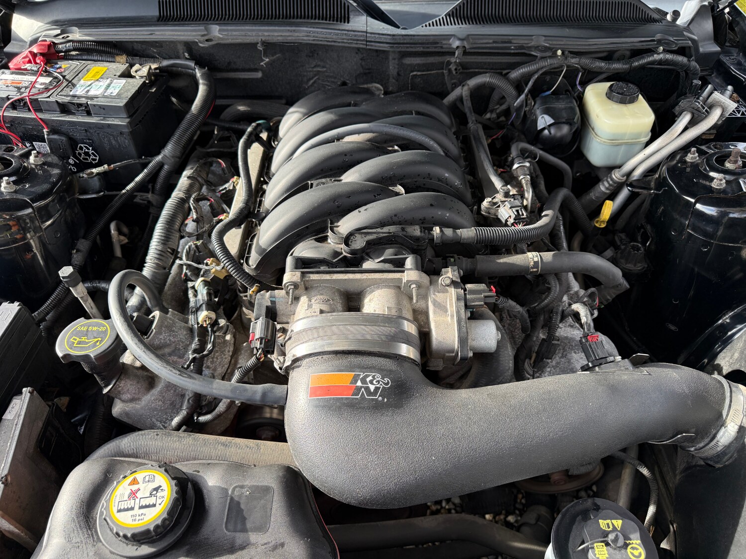 Used Ford Mustang 2007 for sale - 77482506: Photo 41