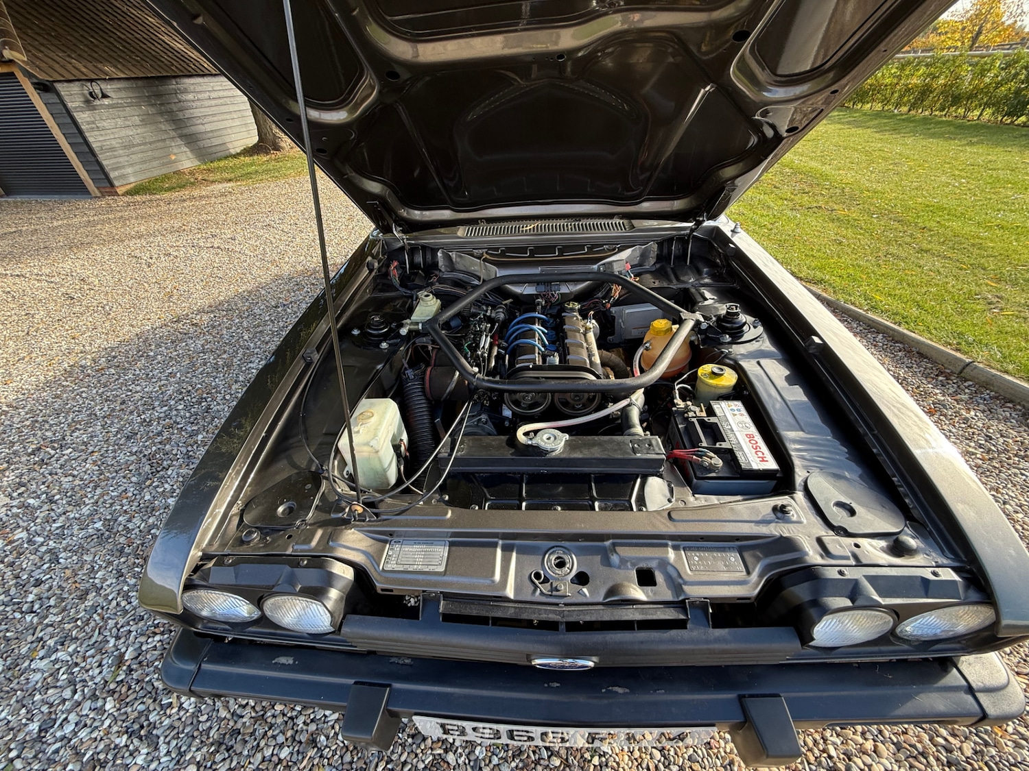 Used Ford Capri 1984 for sale - 76578285: Photo 39