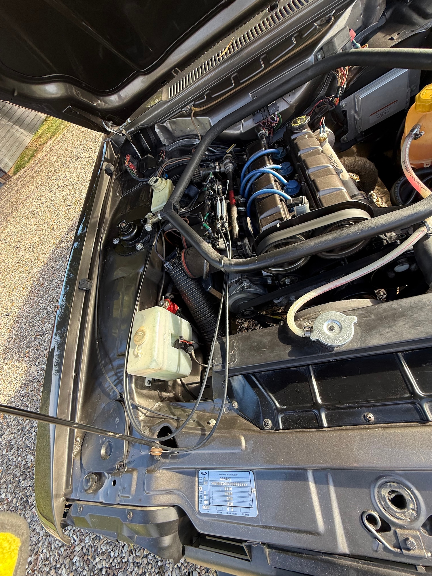 Used Ford Capri 1984 for sale - 76578285: Photo 41