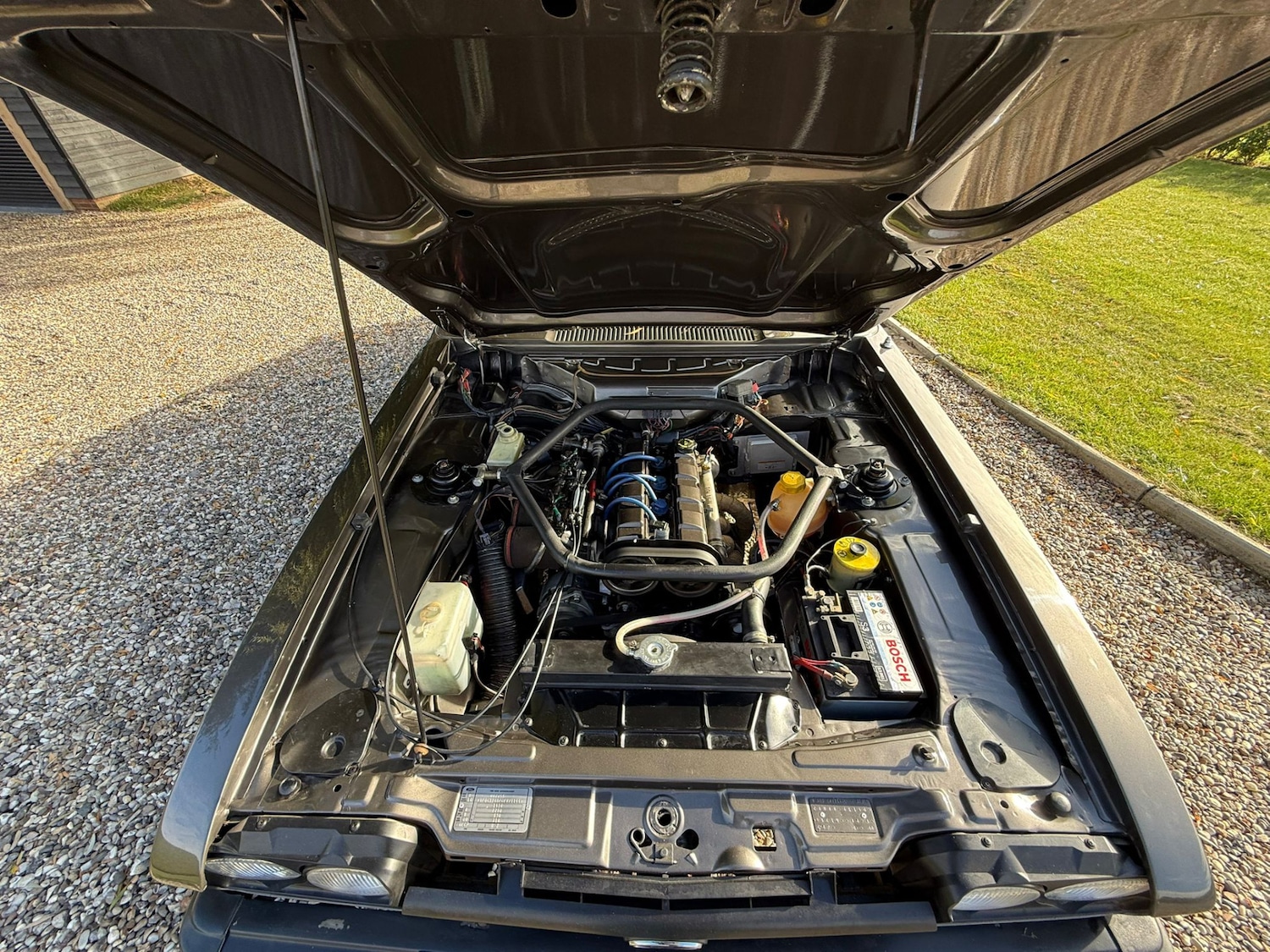 Used Ford Capri 1984 for sale - 76578285: Photo 58