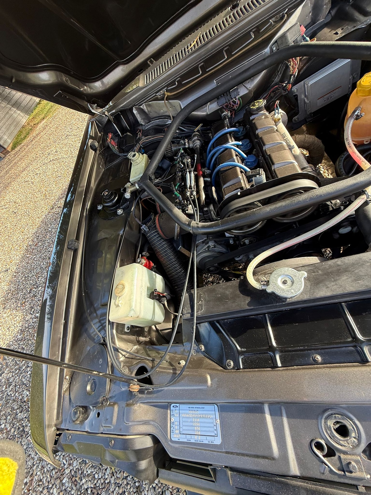 Used Ford Capri 1984 for sale - 76578285: Photo 61