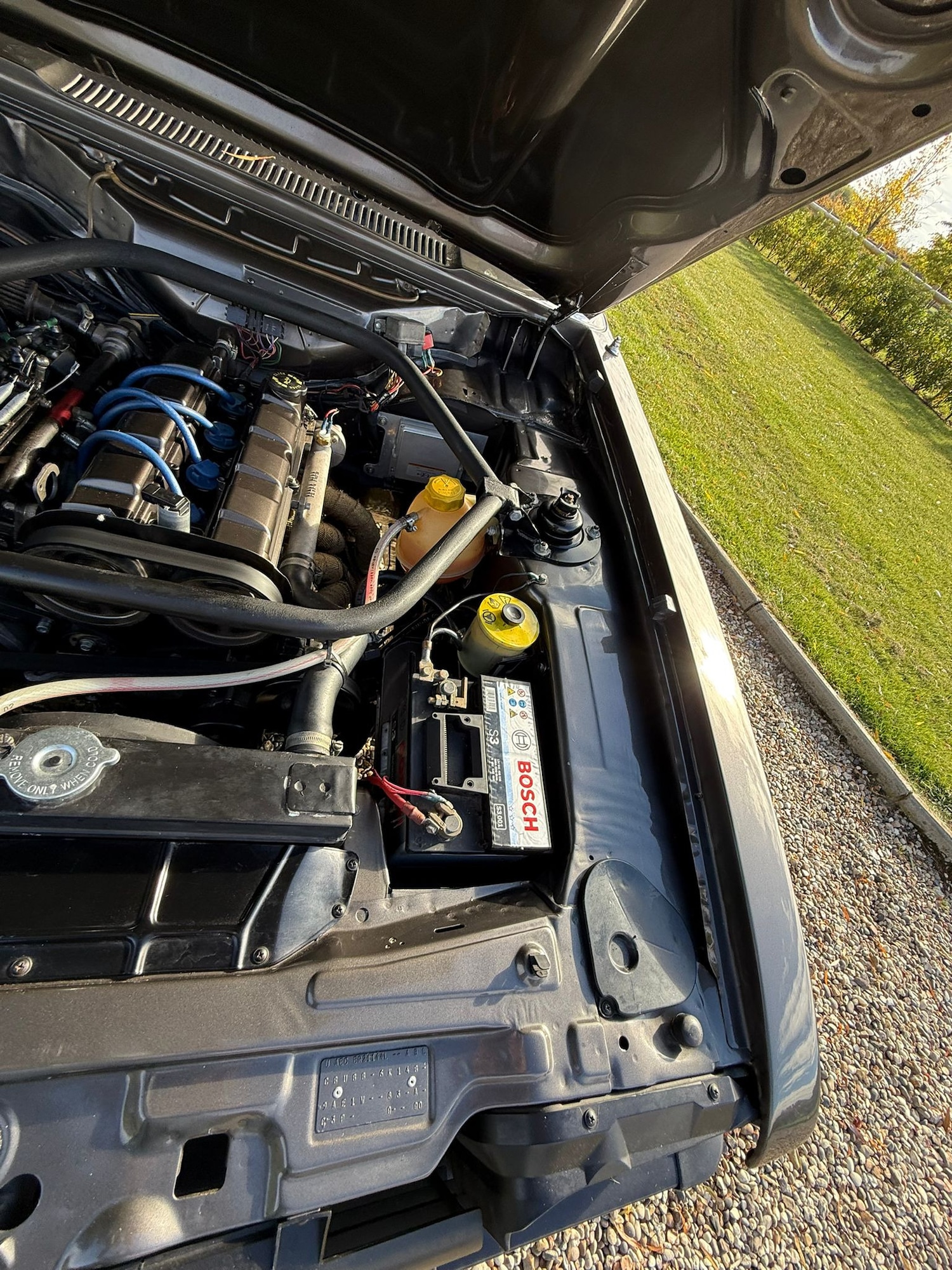 Used Ford Capri 1984 for sale - 76578285: Photo 62