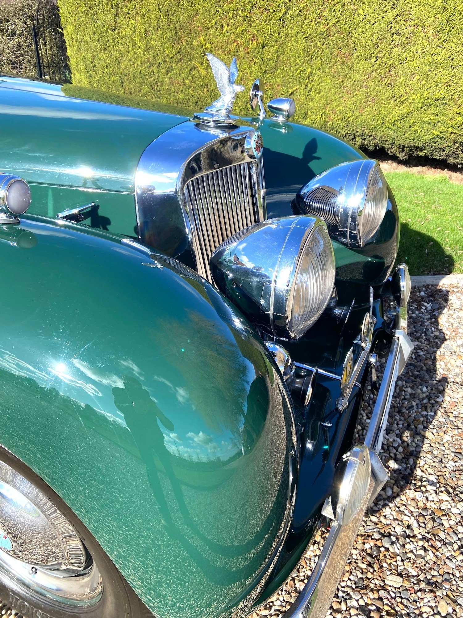 Used Triumph Roadster 1949 for sale - 77568247: Photo 47