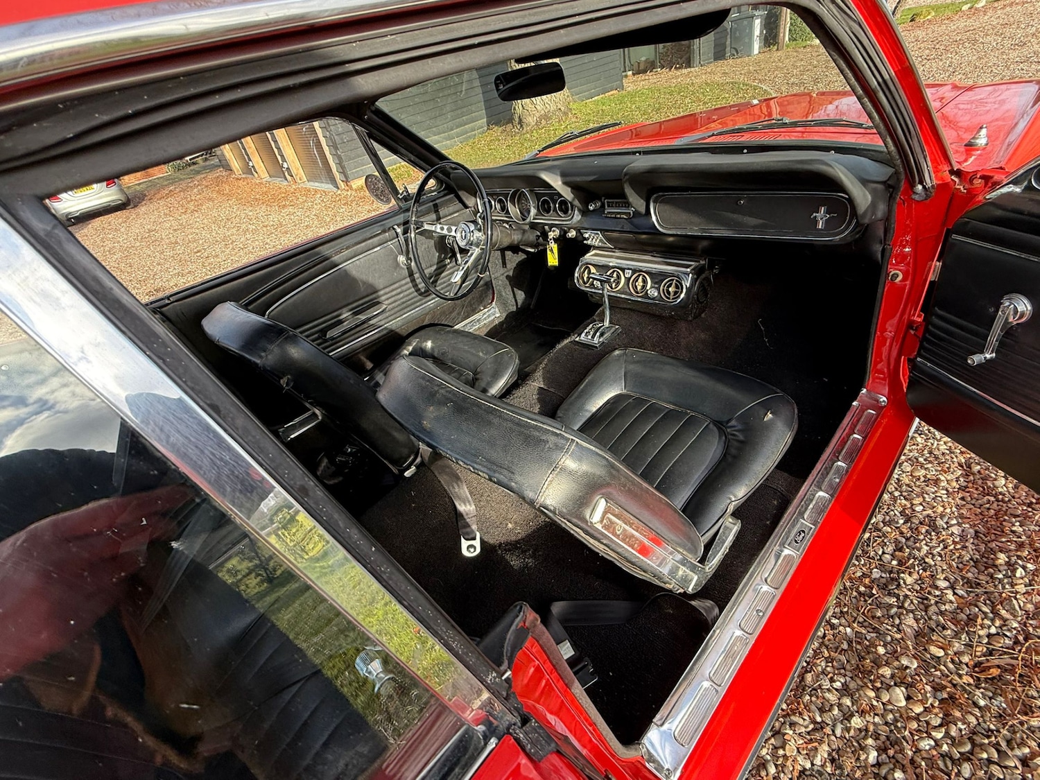 Used Ford Mustang 1966 for sale - 77125738: Photo 11