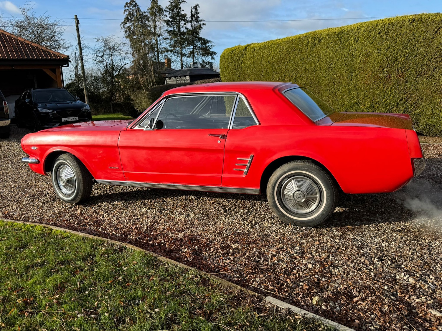 Used Ford Mustang 1966 for sale - 77125738: Photo 12