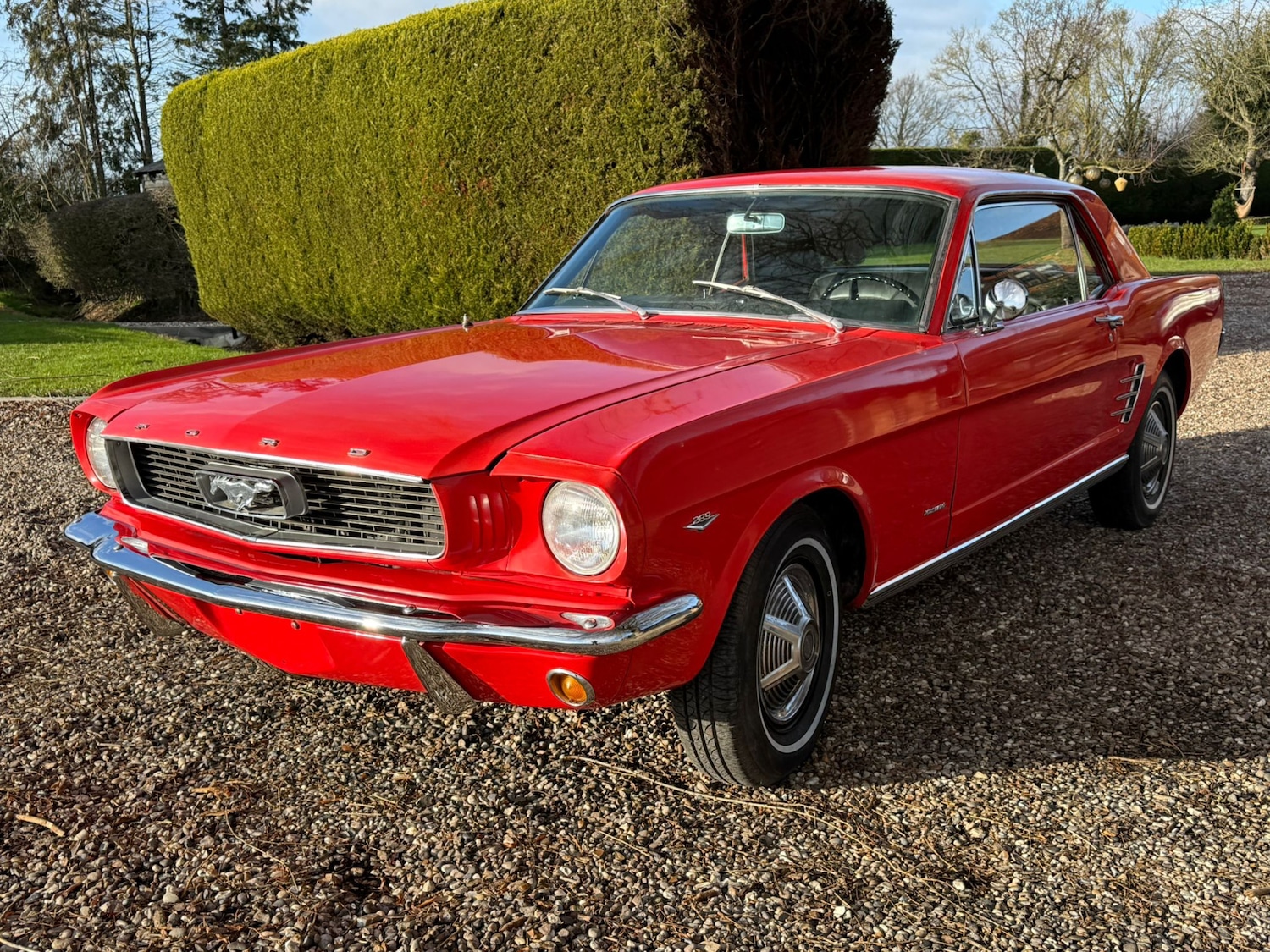 Used Ford Mustang 1966 for sale - 77125738: Photo 14