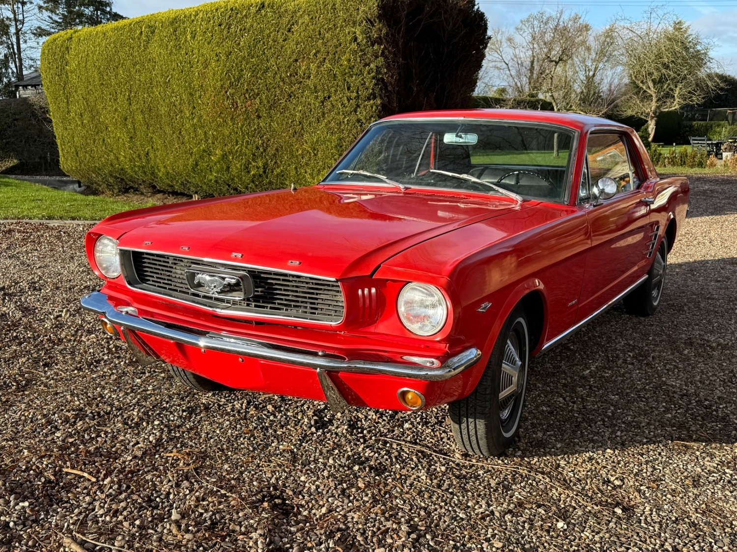 Used Ford Mustang 1966 for sale - 77125738: Photo 16