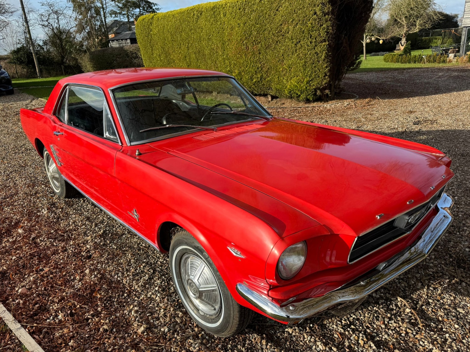 Used Ford Mustang 1966 for sale - 77125738: Photo 17