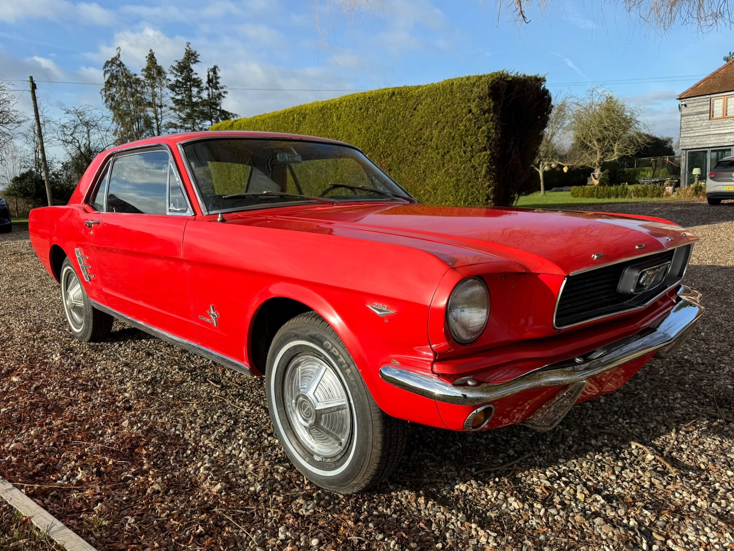 Used Ford Mustang 1966 for sale - 77125738: Photo 19