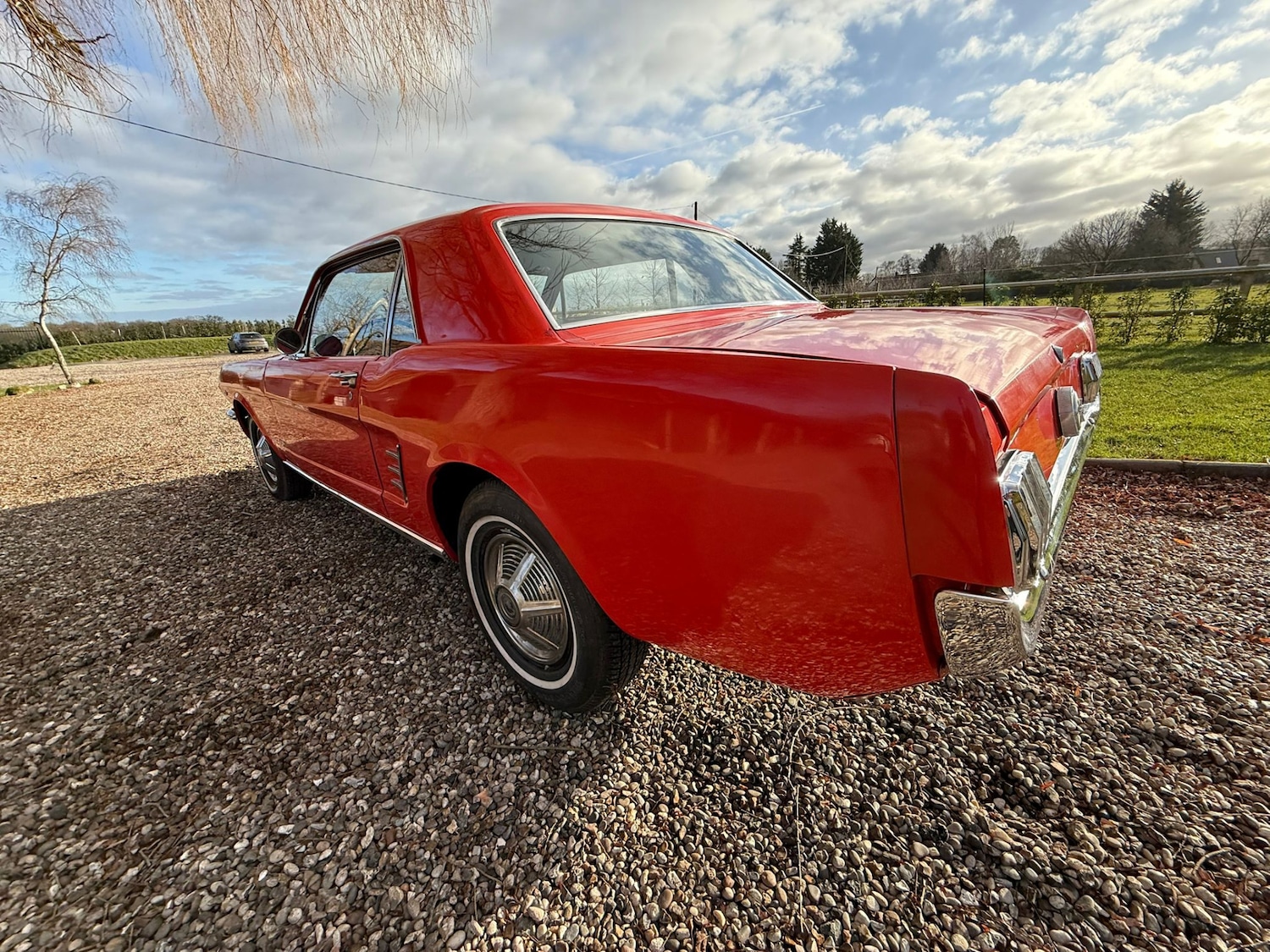 Used Ford Mustang 1966 for sale - 77125738: Photo 20