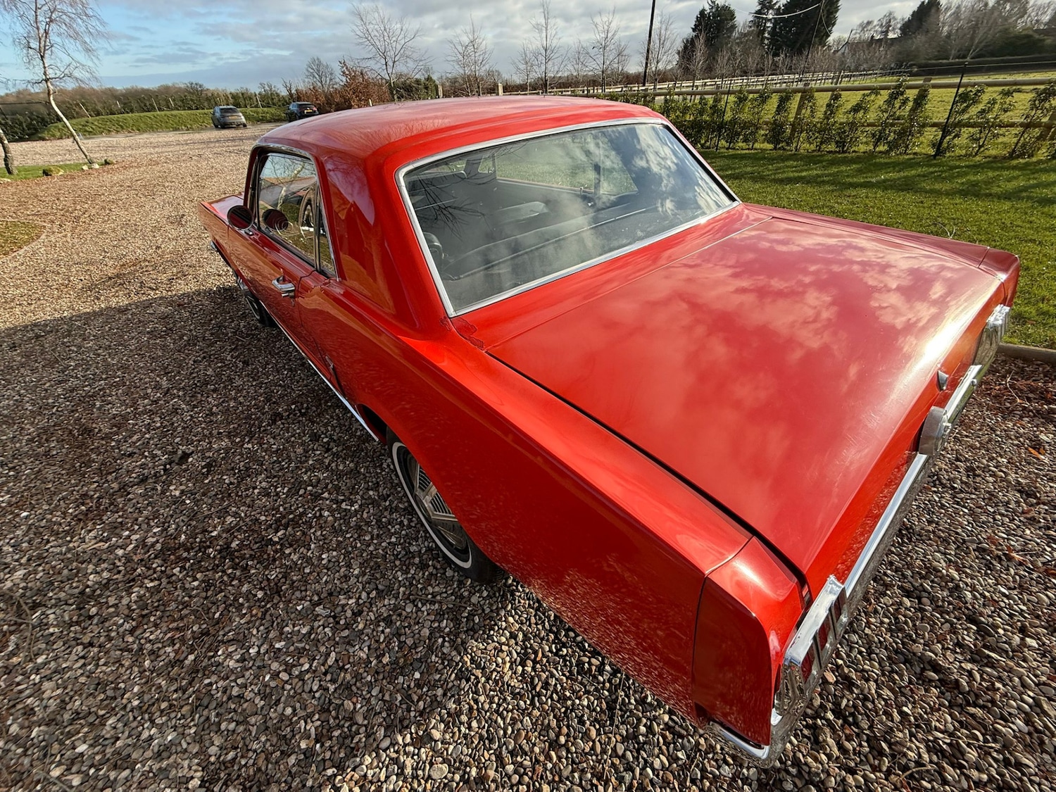 Used Ford Mustang 1966 for sale - 77125738: Photo 23