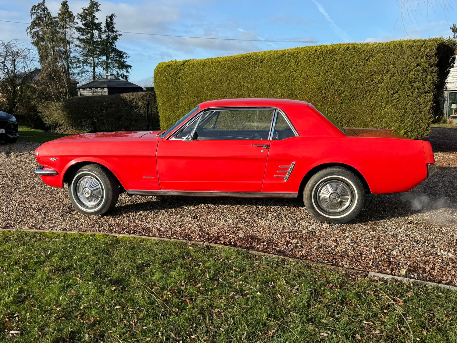 Used Ford Mustang 1966 for sale - 77125738: Photo 29