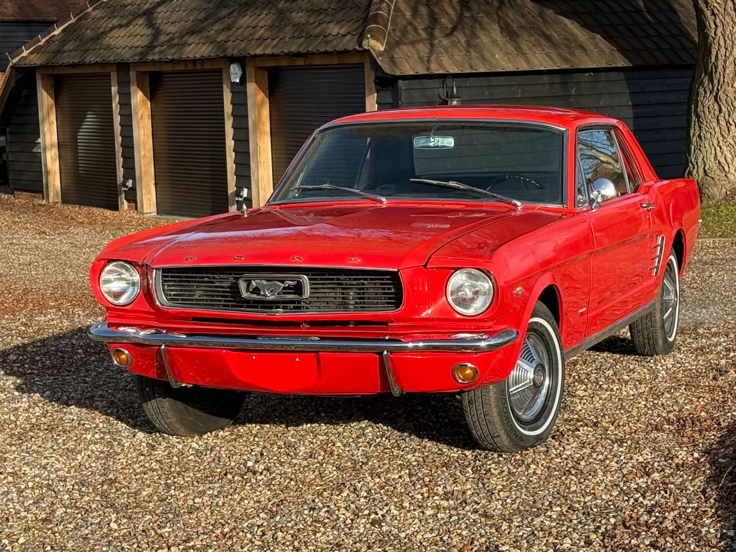 Used Ford Mustang 1966 for sale - 77125738: Photo 3