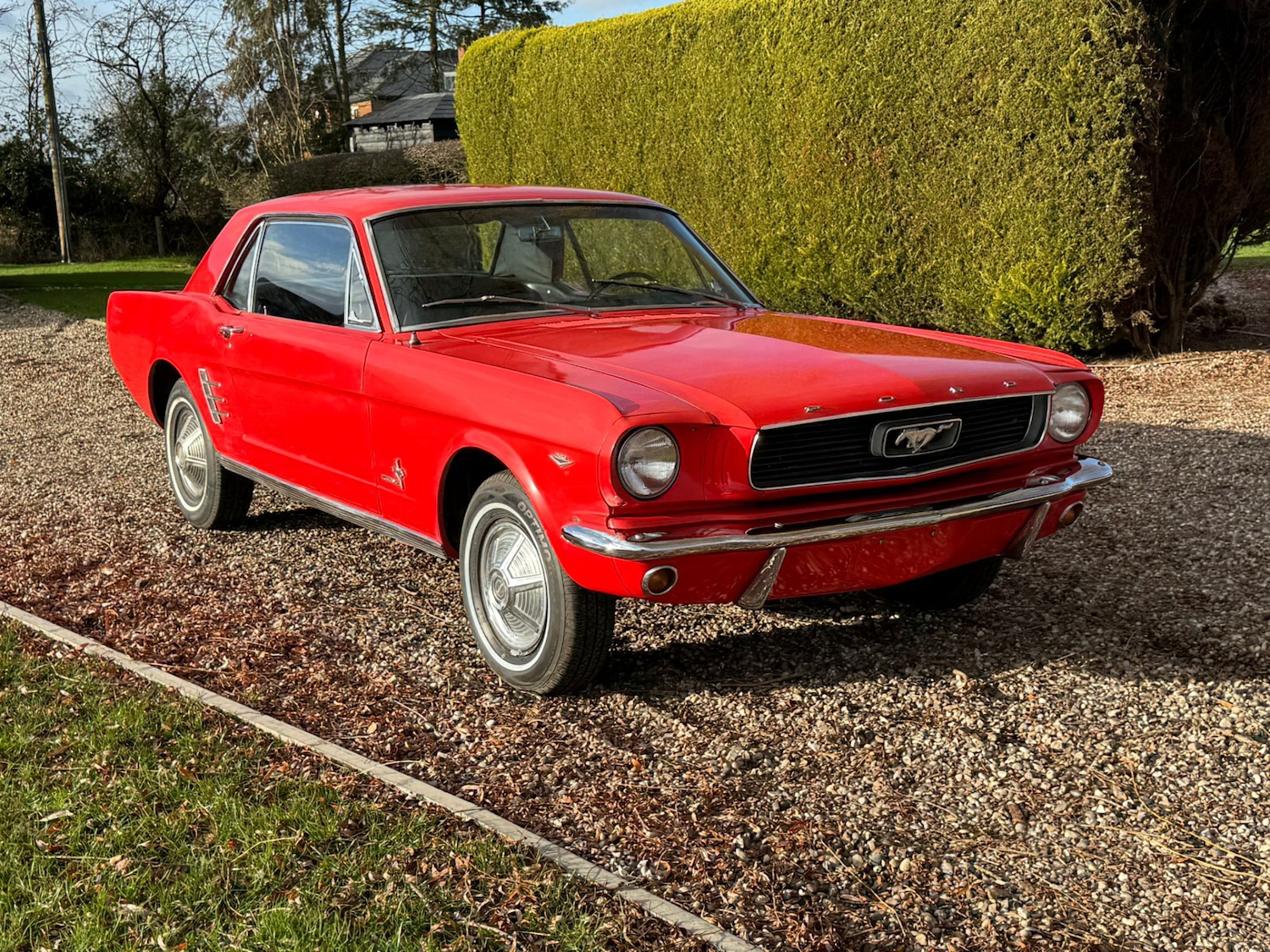 Used Ford Mustang 1966 for sale - 77125738: Photo 30