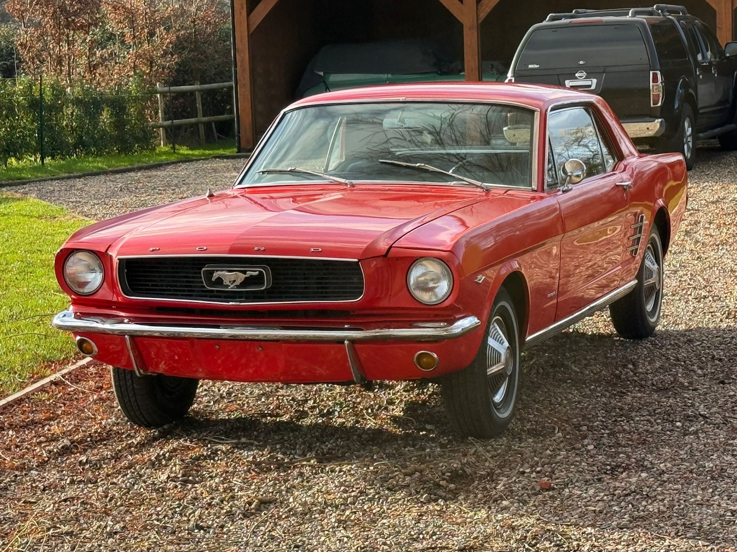 Used Ford Mustang 1966 for sale - 77125738: Photo 31