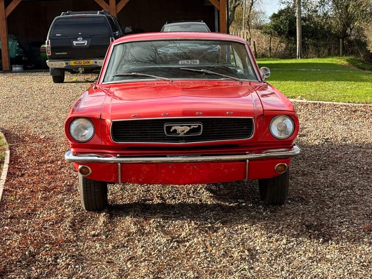 Used Ford Mustang 1966 for sale - 77125738: Photo 33