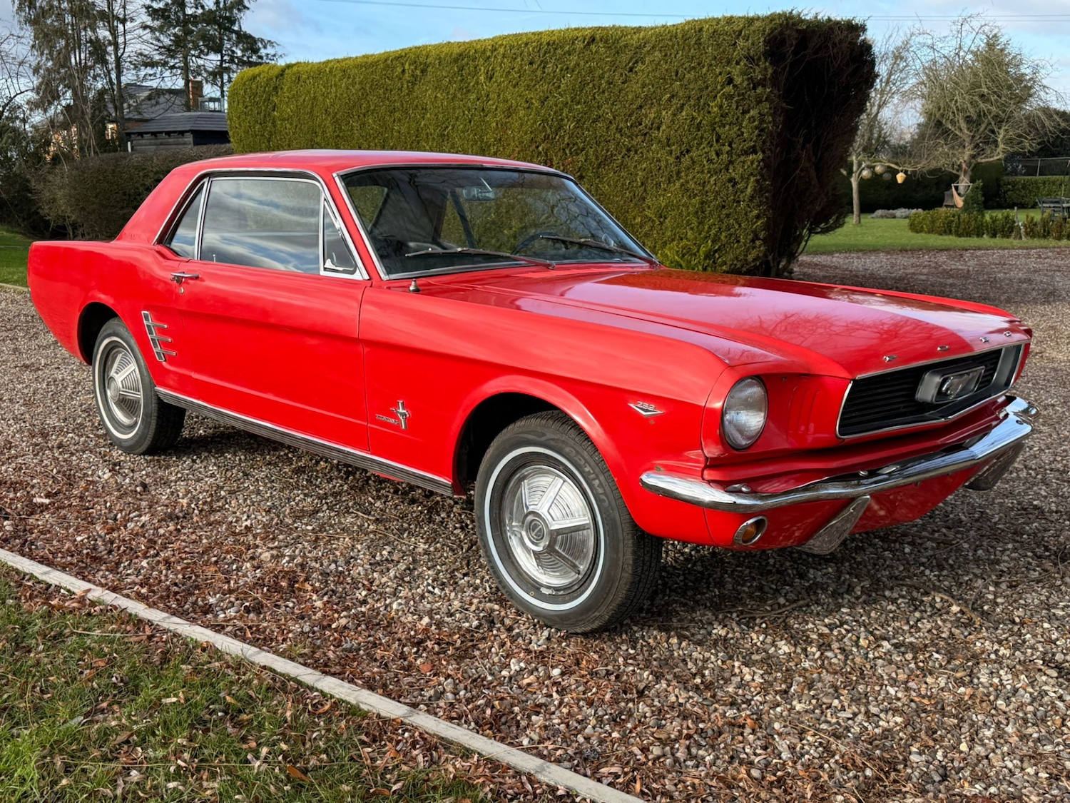 Used Ford Mustang 1966 for sale - 77125738: Photo 38