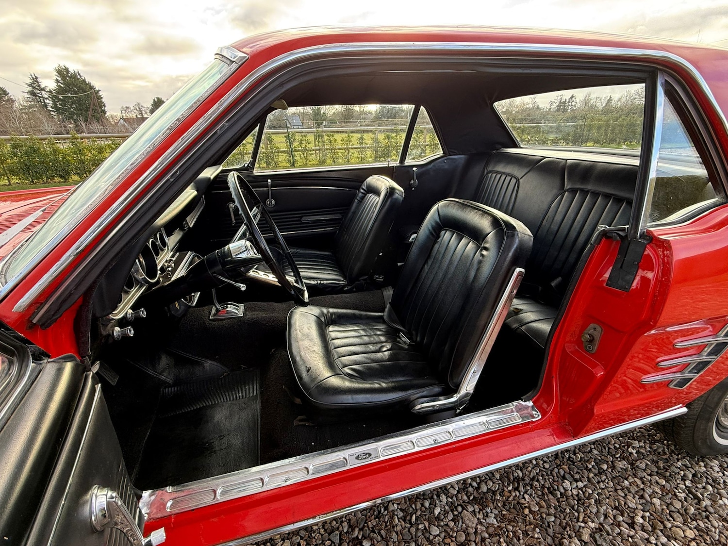 Used Ford Mustang 1966 for sale - 77125738: Photo 44