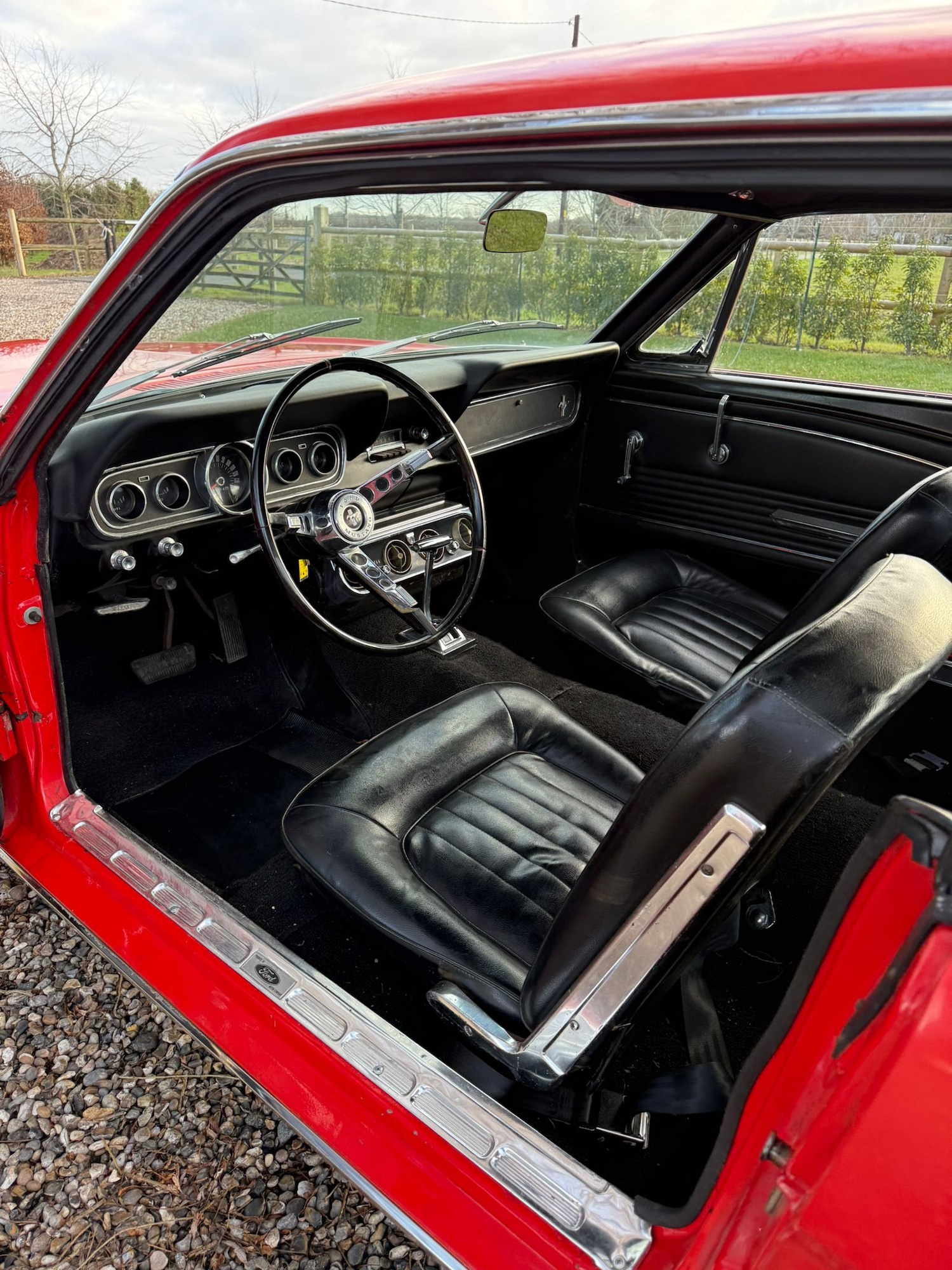 Used Ford Mustang 1966 for sale - 77125738: Photo 46