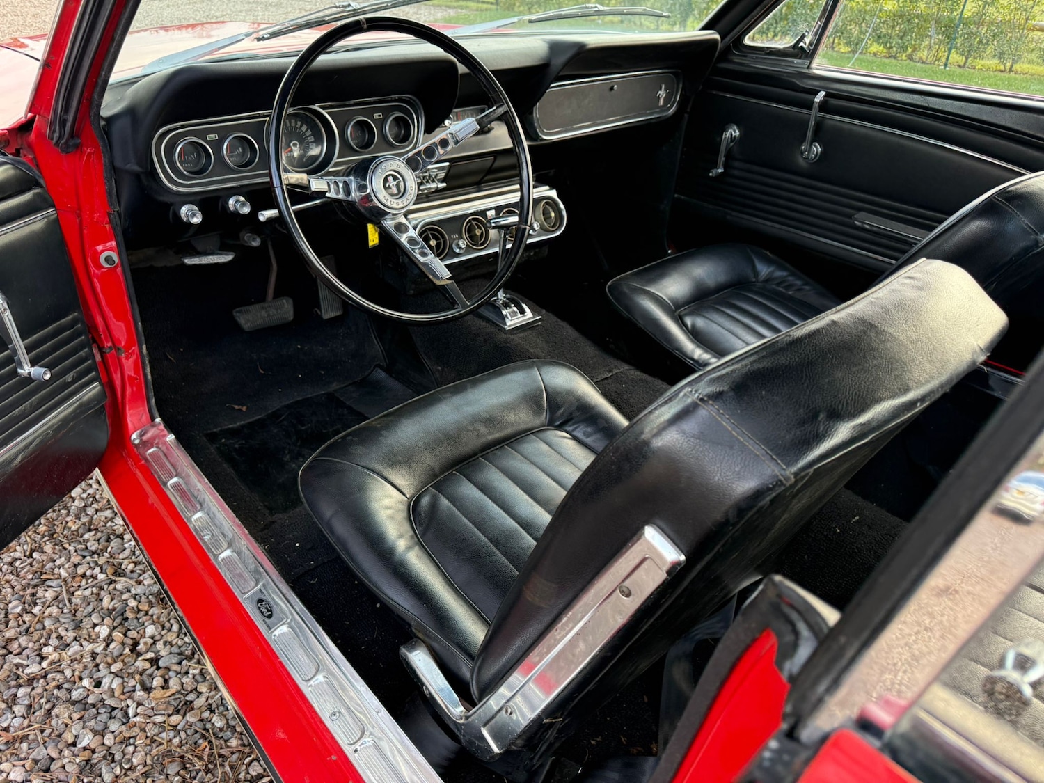 Used Ford Mustang 1966 for sale - 77125738: Photo 49