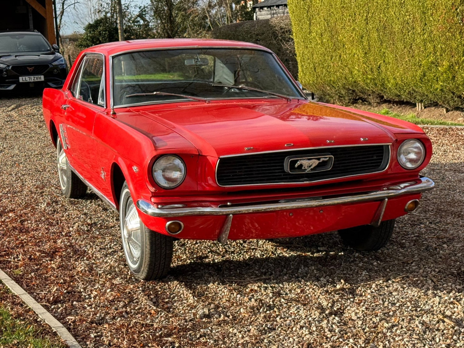 Used Ford Mustang 1966 for sale - 77125738: Photo 50
