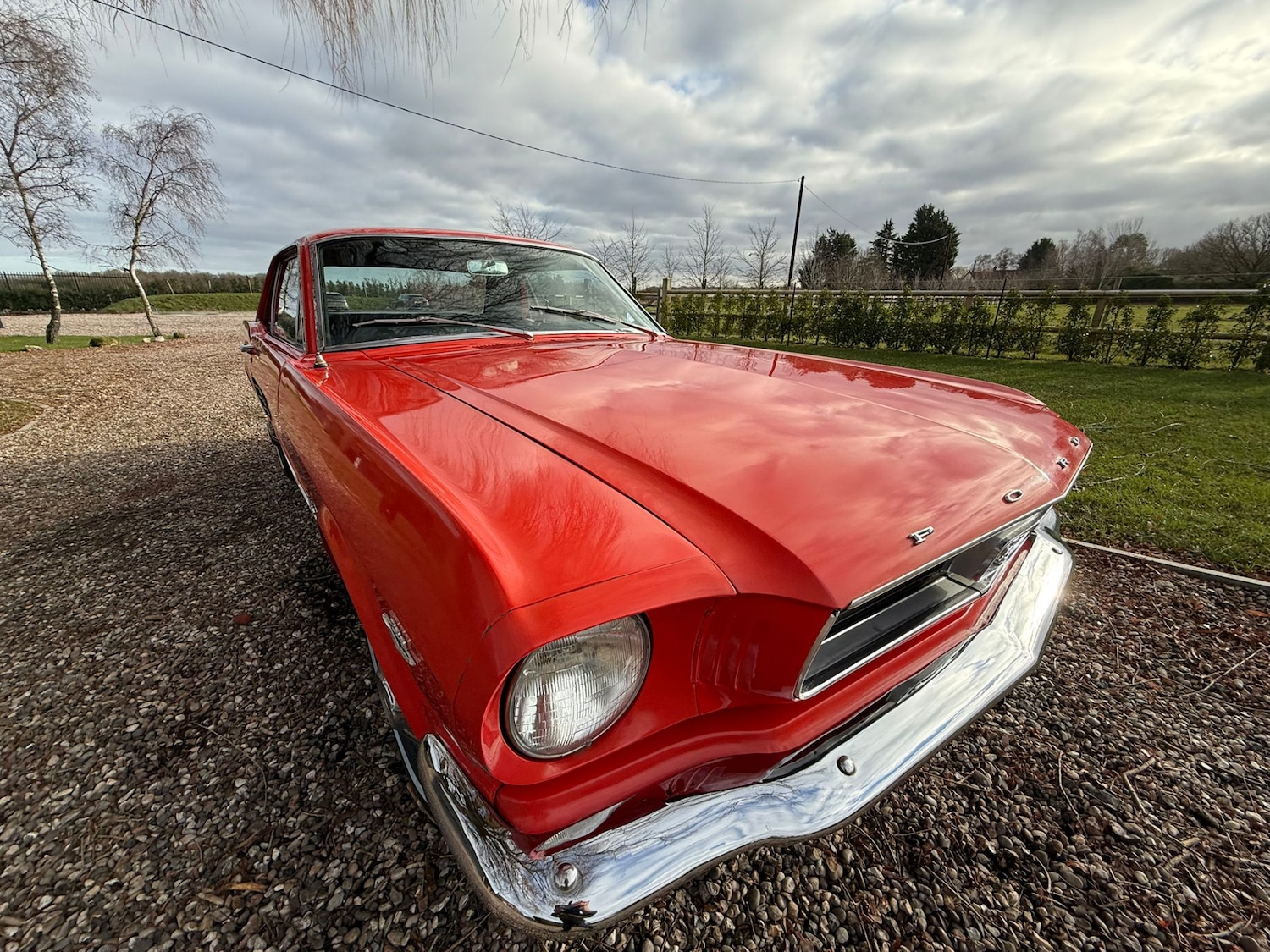 Used Ford Mustang 1966 for sale - 77125738: Photo 55