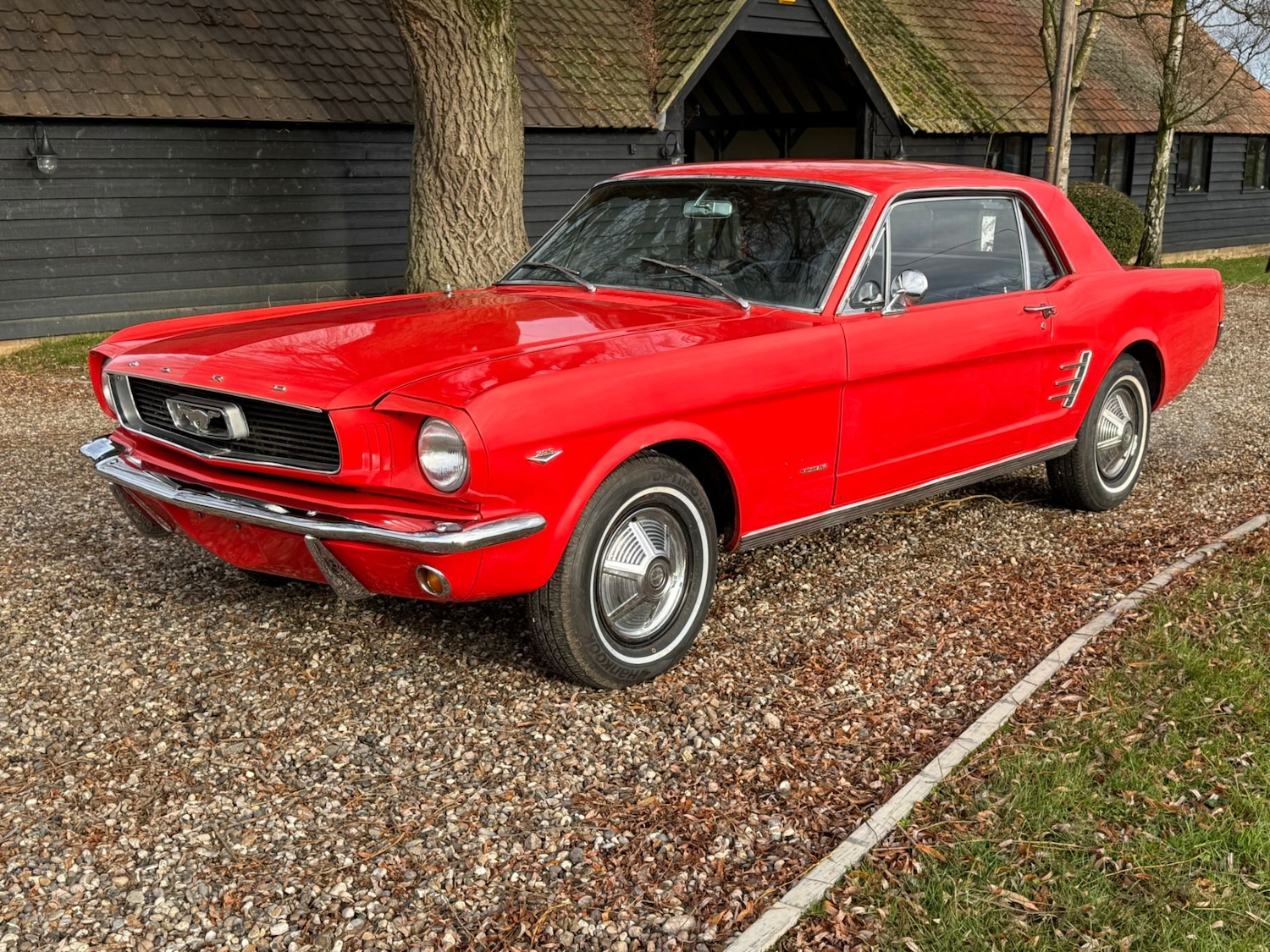 Used Ford Mustang 1966 for sale - 77125738: Photo 58