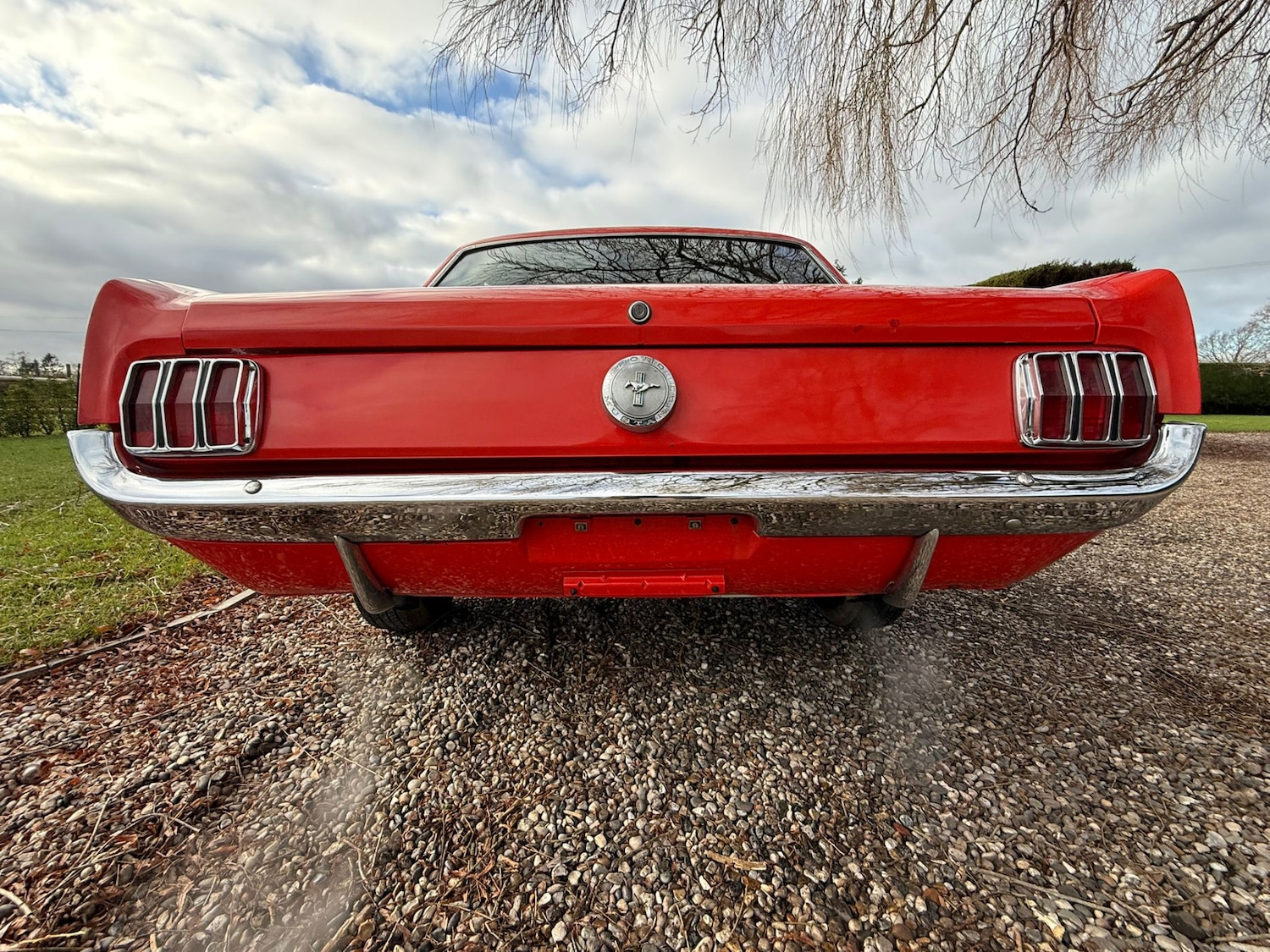 Used Ford Mustang 1966 for sale - 77125738: Photo 62