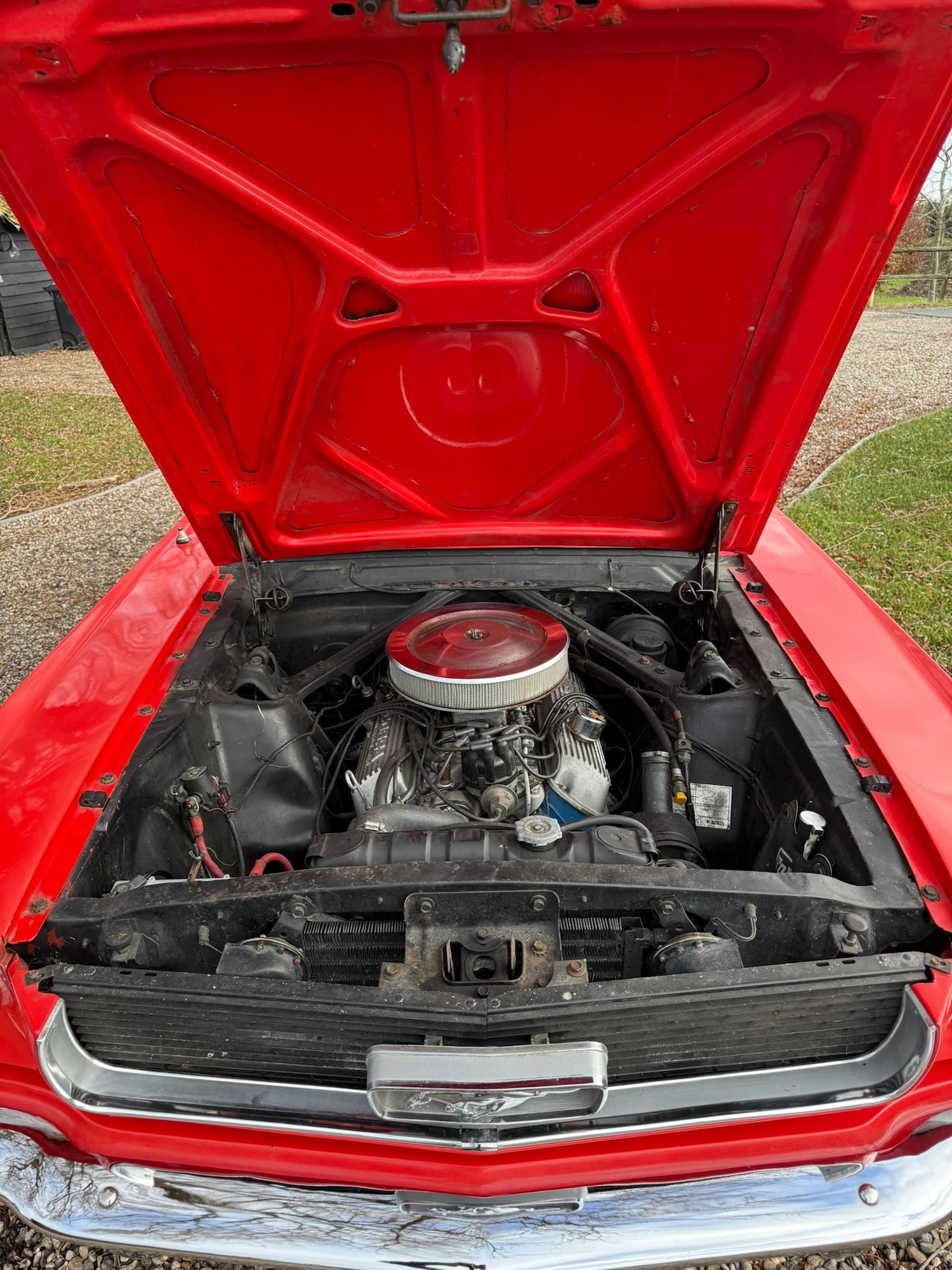 Used Ford Mustang 1966 for sale - 77125738: Photo 64