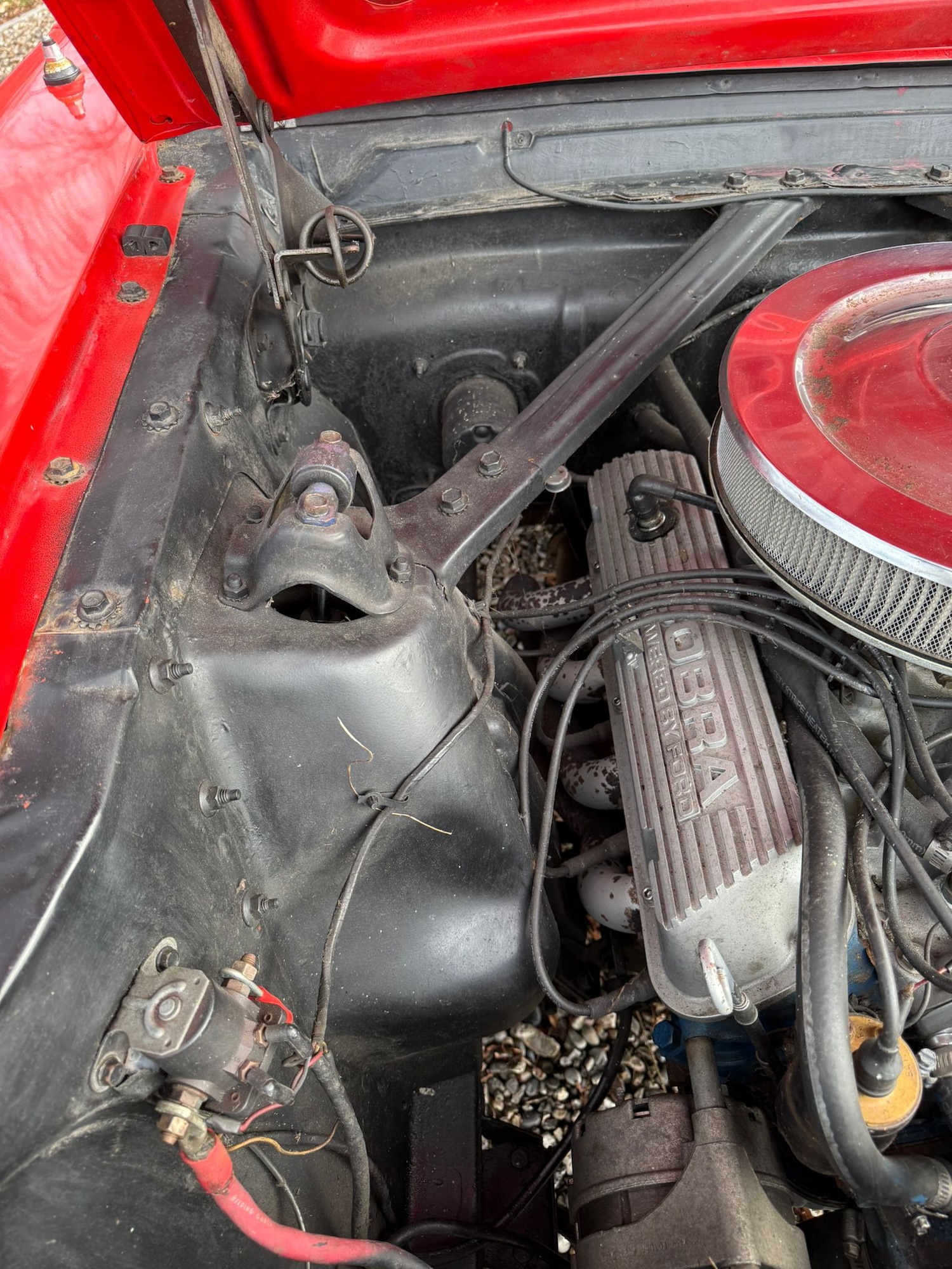 Used Ford Mustang 1966 for sale - 77125738: Photo 66