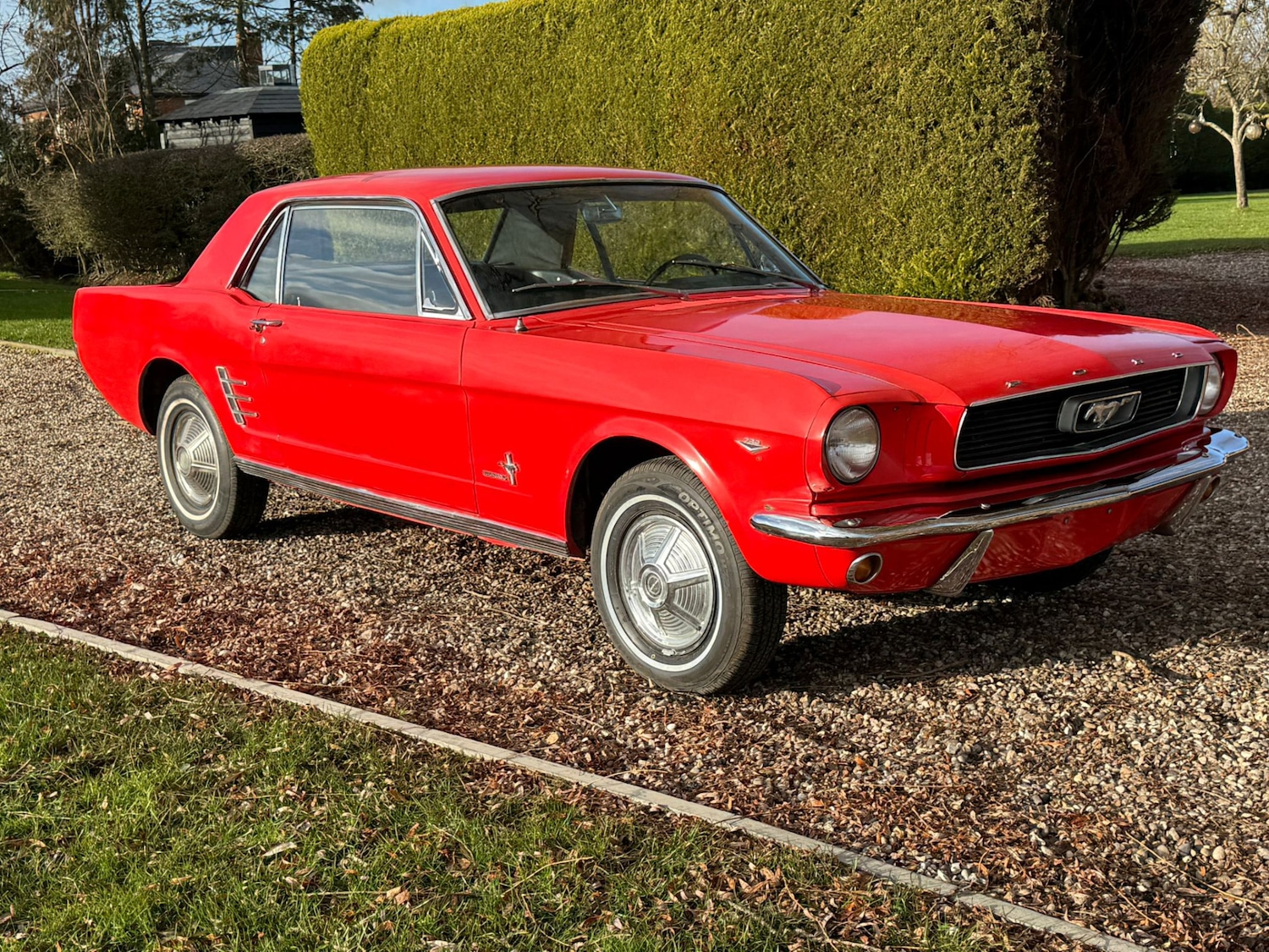 Used Ford Mustang 1966 for sale - 77125738: Photo 69