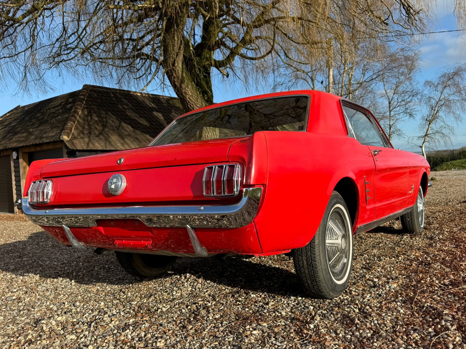 Used Ford Mustang 1966 for sale - 77125738: Photo 9