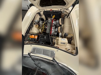 Used Volvo P1800 1966 for sale - 78342235: Photo