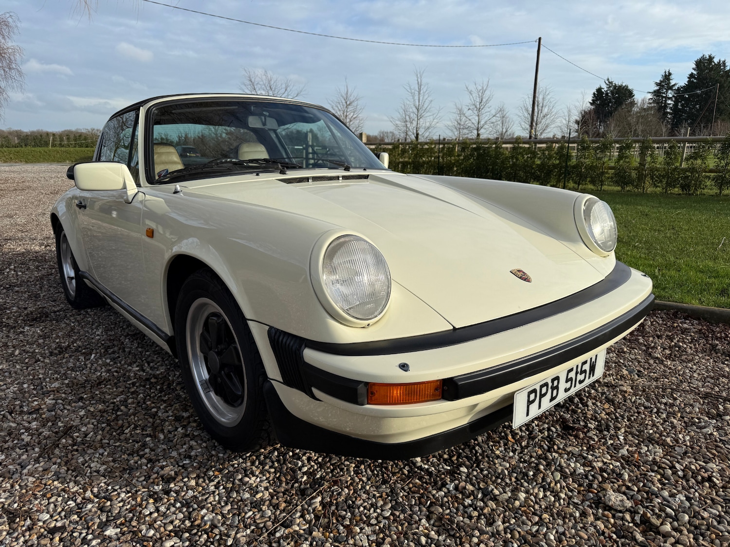 Used Porsche 911 1981 for sale - 77398510: Photo 1