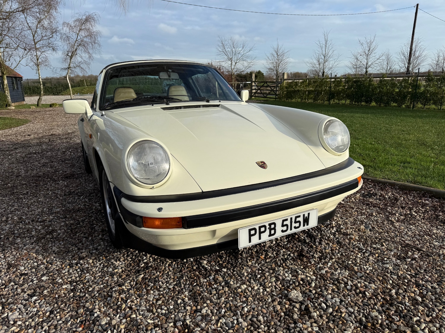 Used Porsche 911 1981 for sale - 77398510: Photo 19