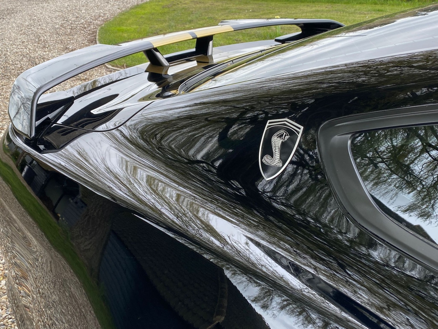 Used Ford Mustang 2019 for sale - 77996976: Photo 14