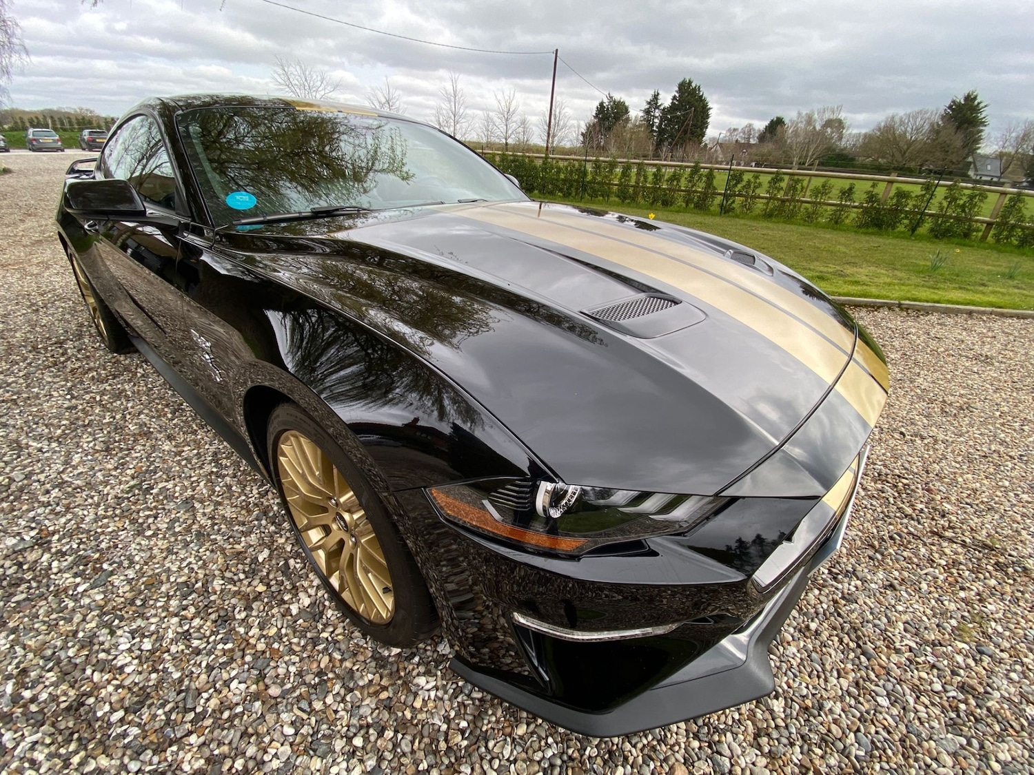 Used Ford Mustang 2019 for sale - 77996976: Photo 16