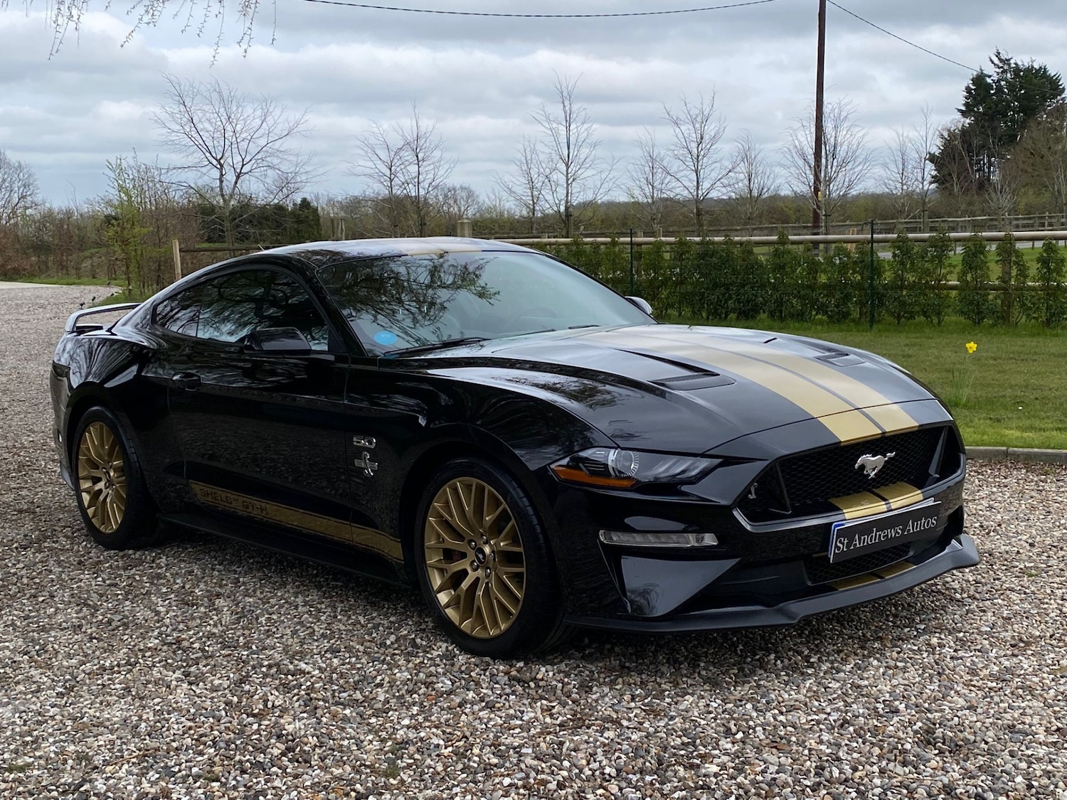 Used Ford Mustang 2019 for sale - 77996976: Photo 23