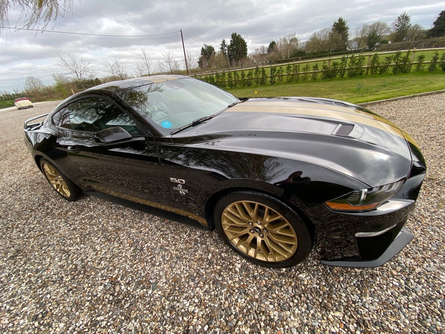 Used Ford Mustang 2019 for sale - 77996976: Photo 28