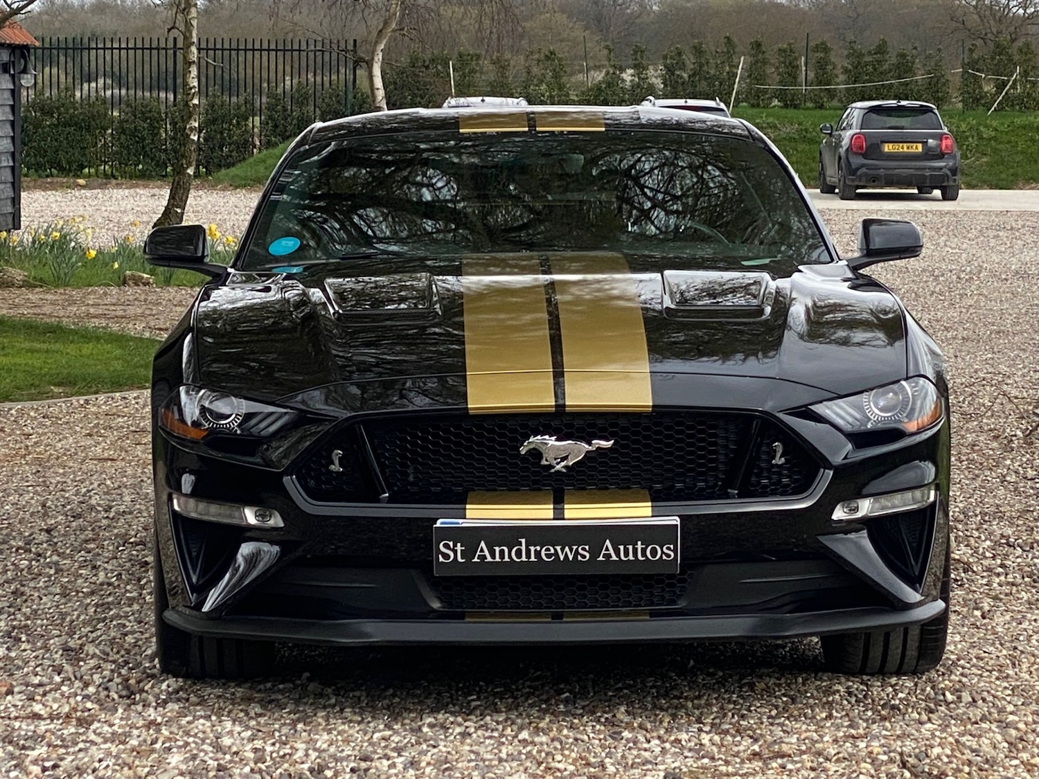 Used Ford Mustang 2019 for sale - 77996976: Photo 3