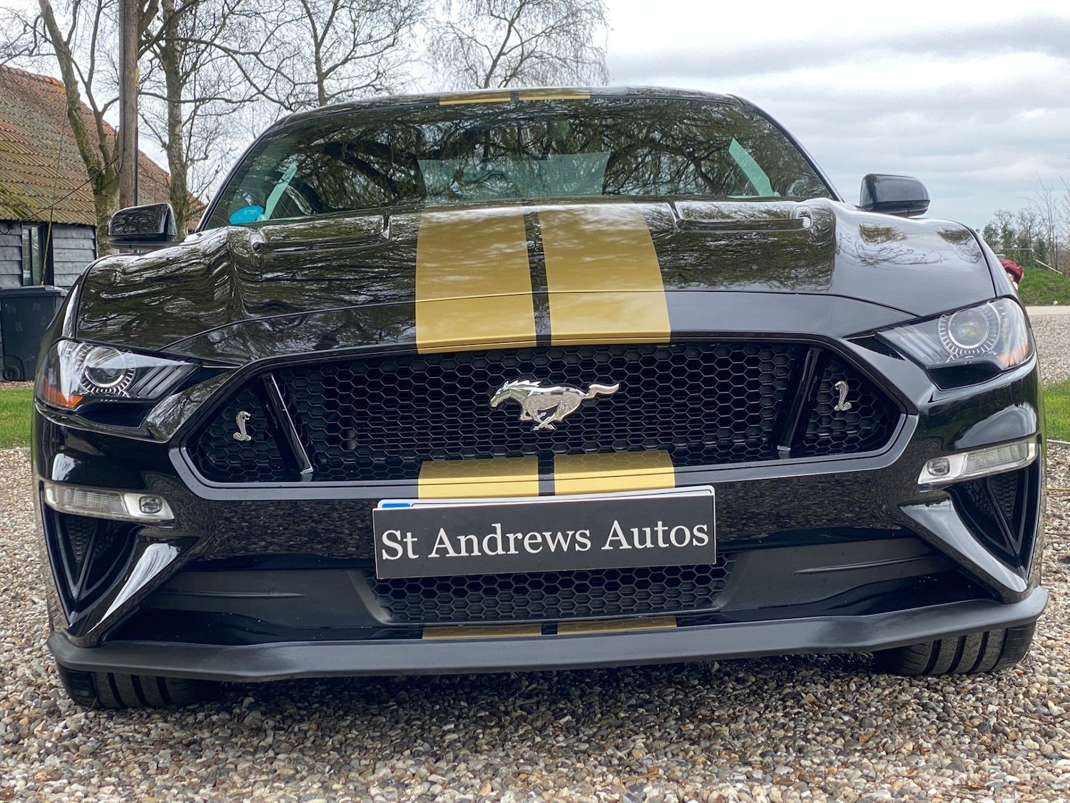 Used Ford Mustang 2019 for sale - 77996976: Photo 30