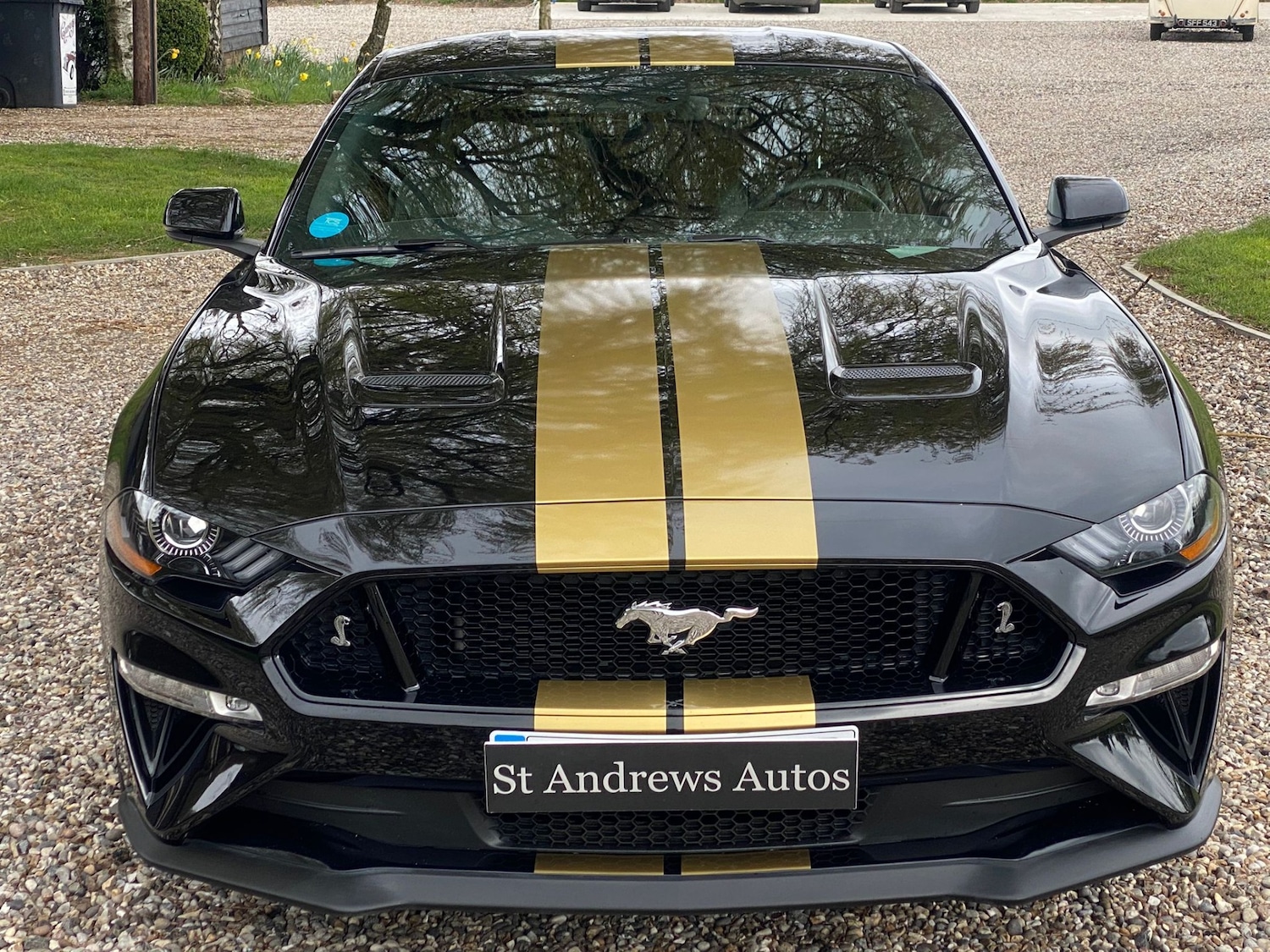 Used Ford Mustang 2019 for sale - 77996976: Photo 34