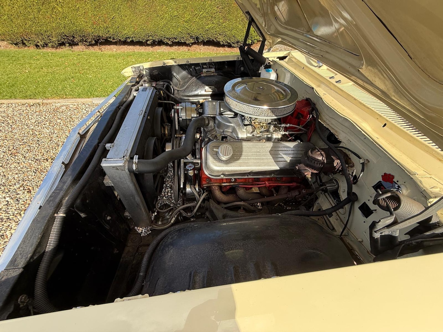 Used Chevrolet Impala 1961 for sale - 76404471: Photo 13