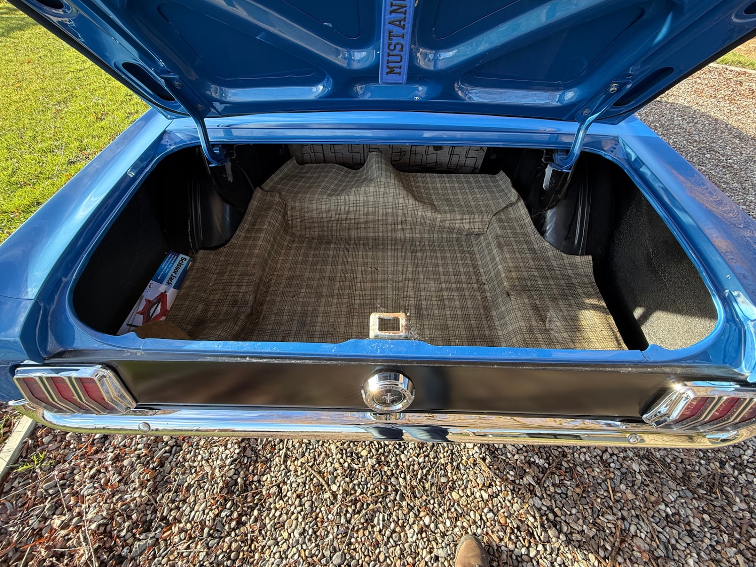 Used Ford Mustang 2020 for sale - 77241937: Photo 13