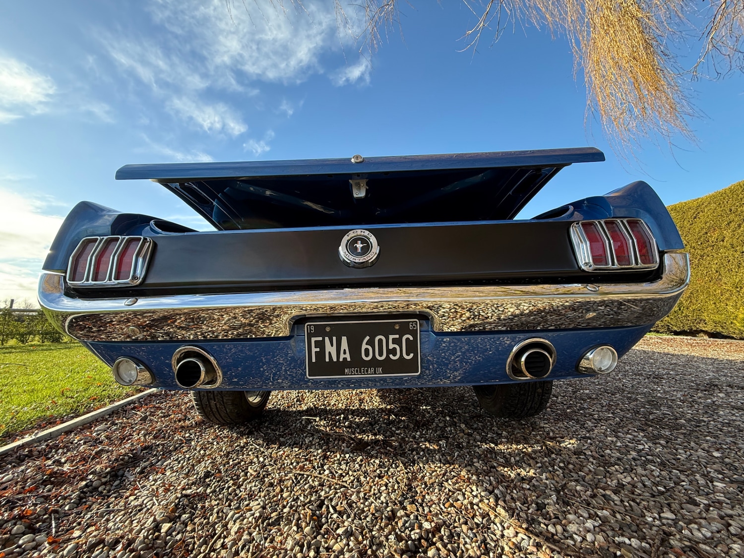 Used Ford Mustang 2020 for sale - 77241937: Photo 16