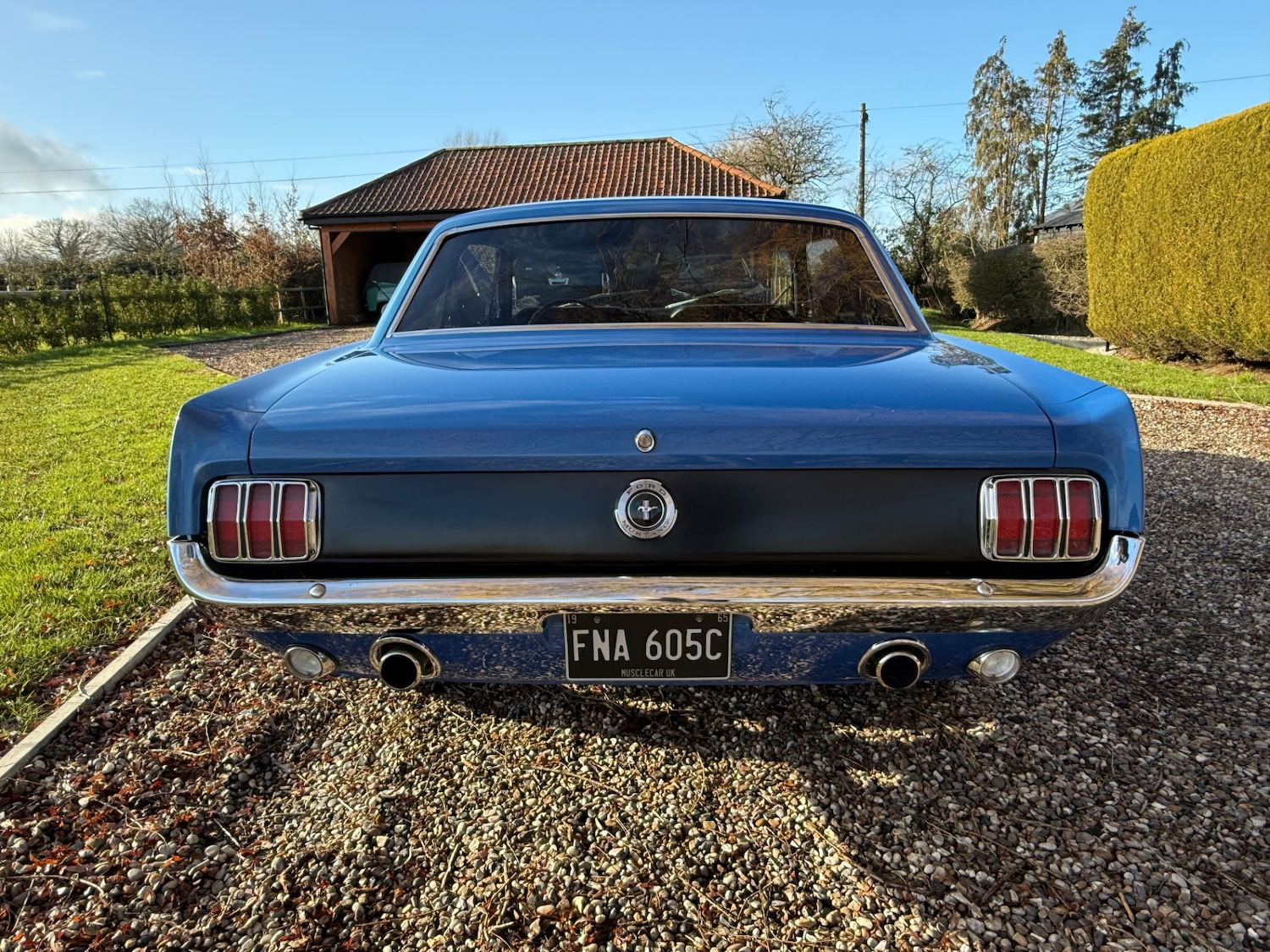 Used Ford Mustang 2020 for sale - 77241937: Photo 17