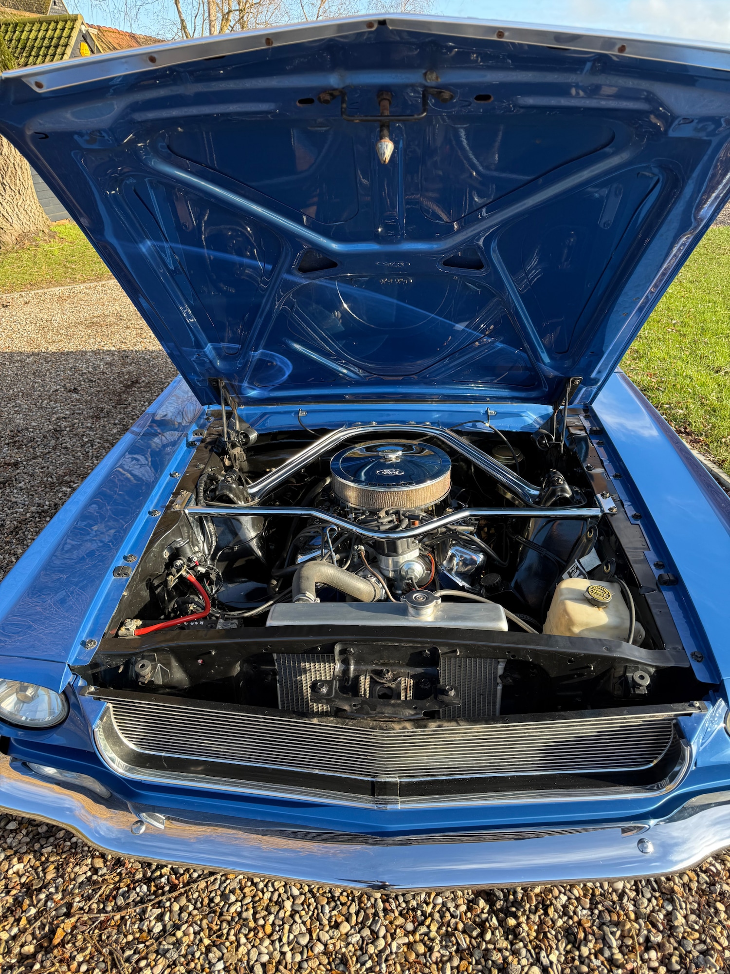 Used Ford Mustang 2020 for sale - 77241937: Photo 3