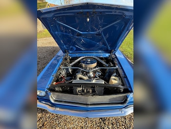 Used Ford Mustang 1964 for sale - 77241937: Photo